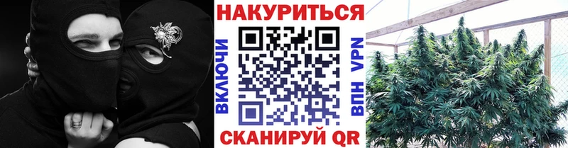 Купить где  Агидель  Бошки Шишки планчик